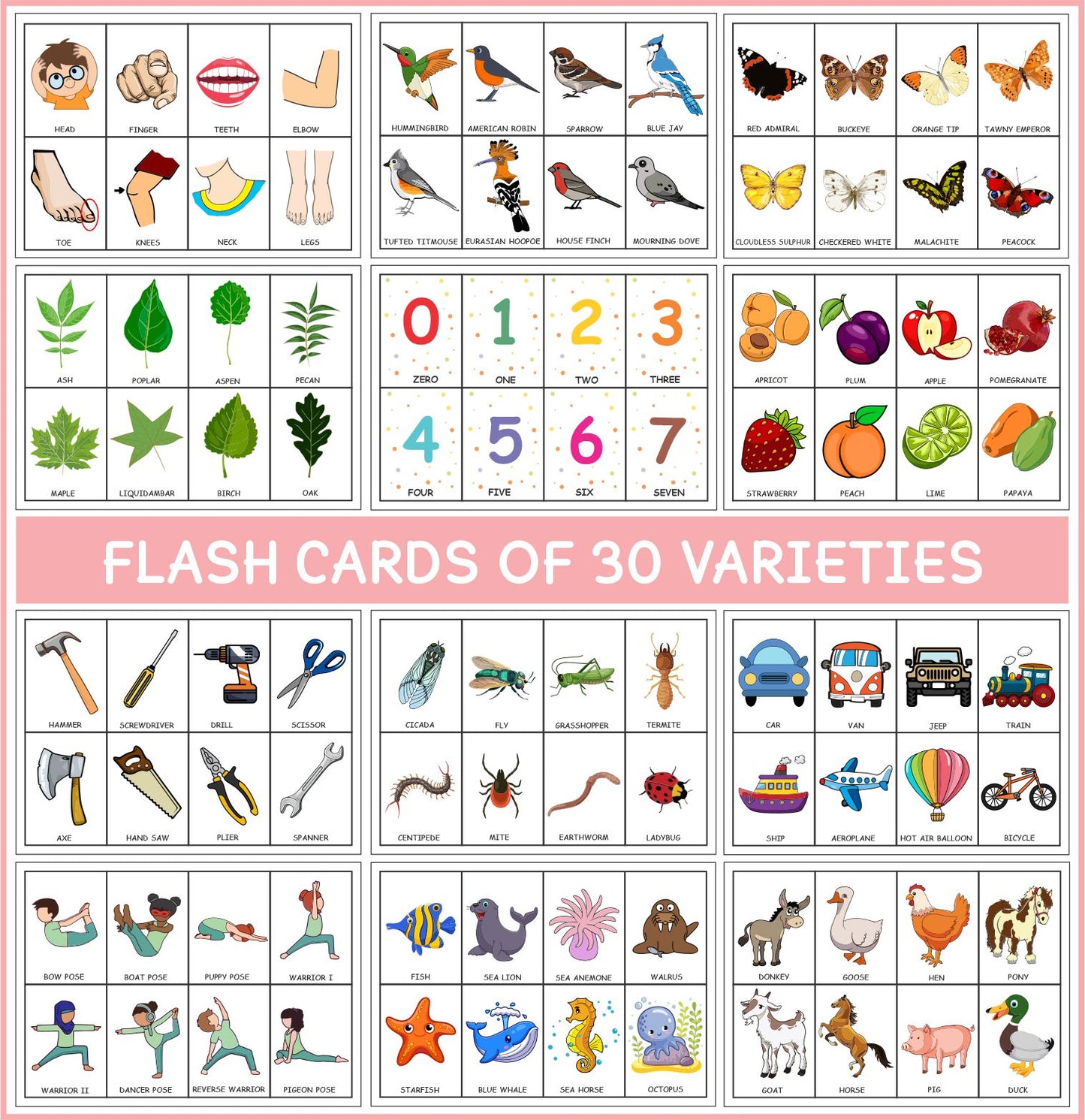 Kids Printable Activity Bundle (5000+ Pages)+ FREE 2 Bundles