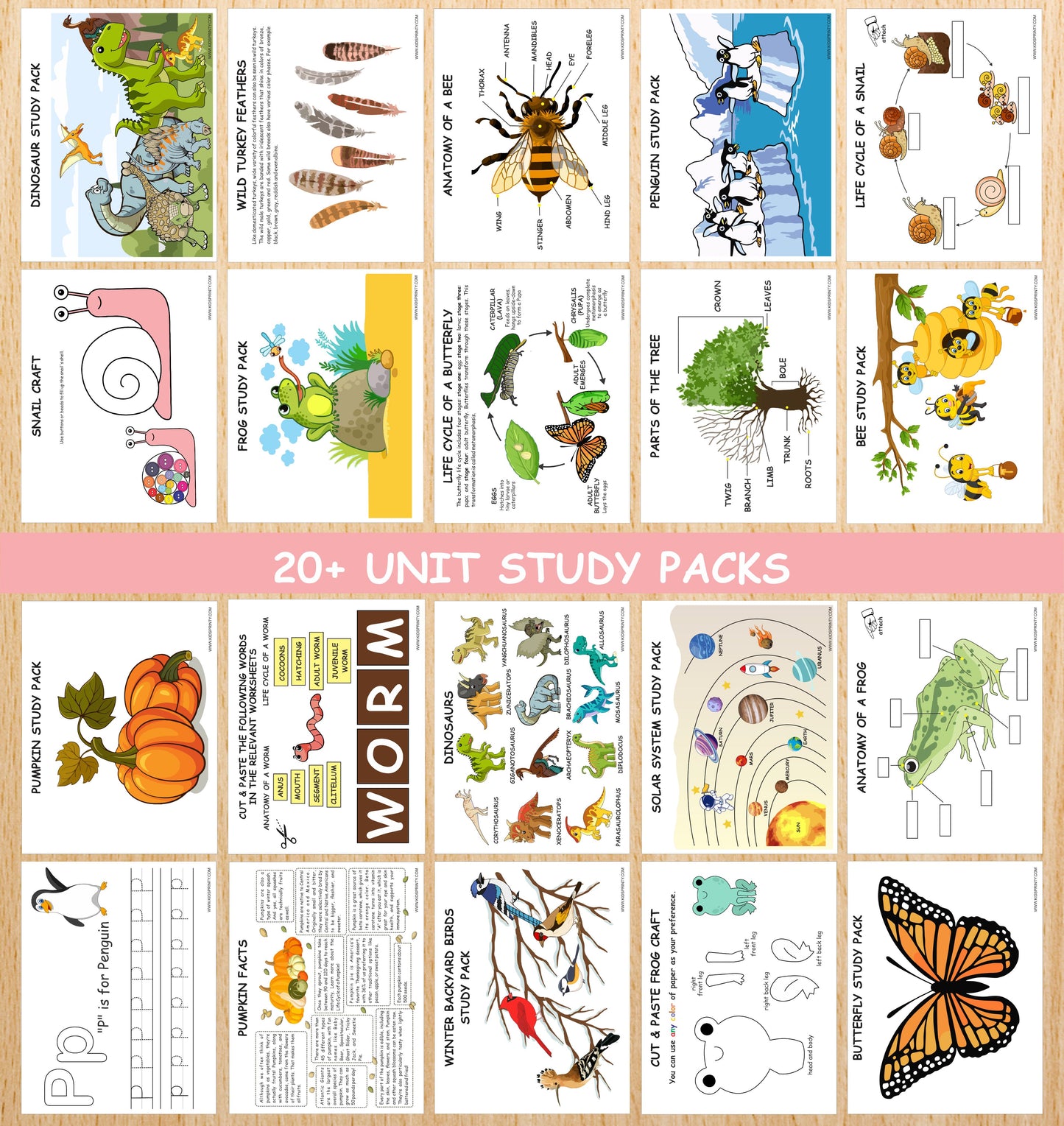 Kids Printable Activity Bundle (5000+ Pages)+ FREE 2 Bundles