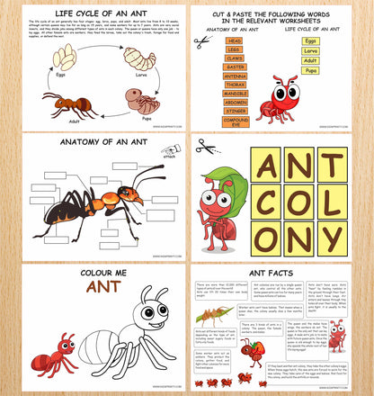 Ant Colony Nature Unit Study pack (13 Pages)