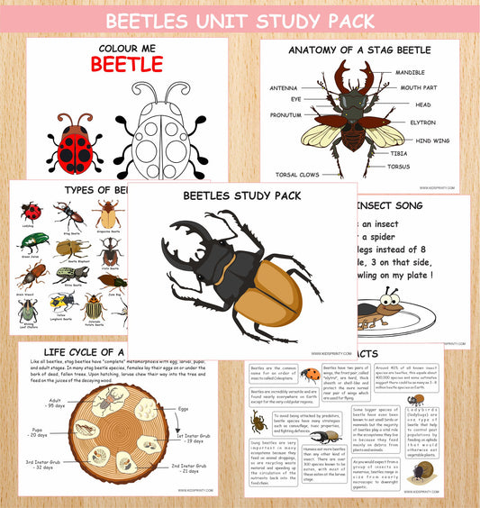 Beetles Unit Study Pack (11 Pages)