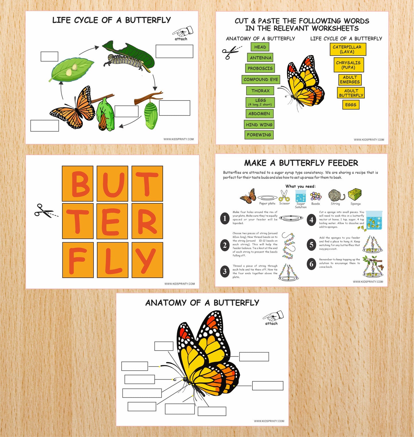 Butterfly Unit Study Pack (12 Pages)