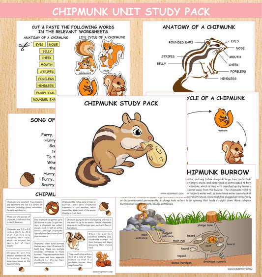 Chipmunk Unit Study Pack (13 Pages)