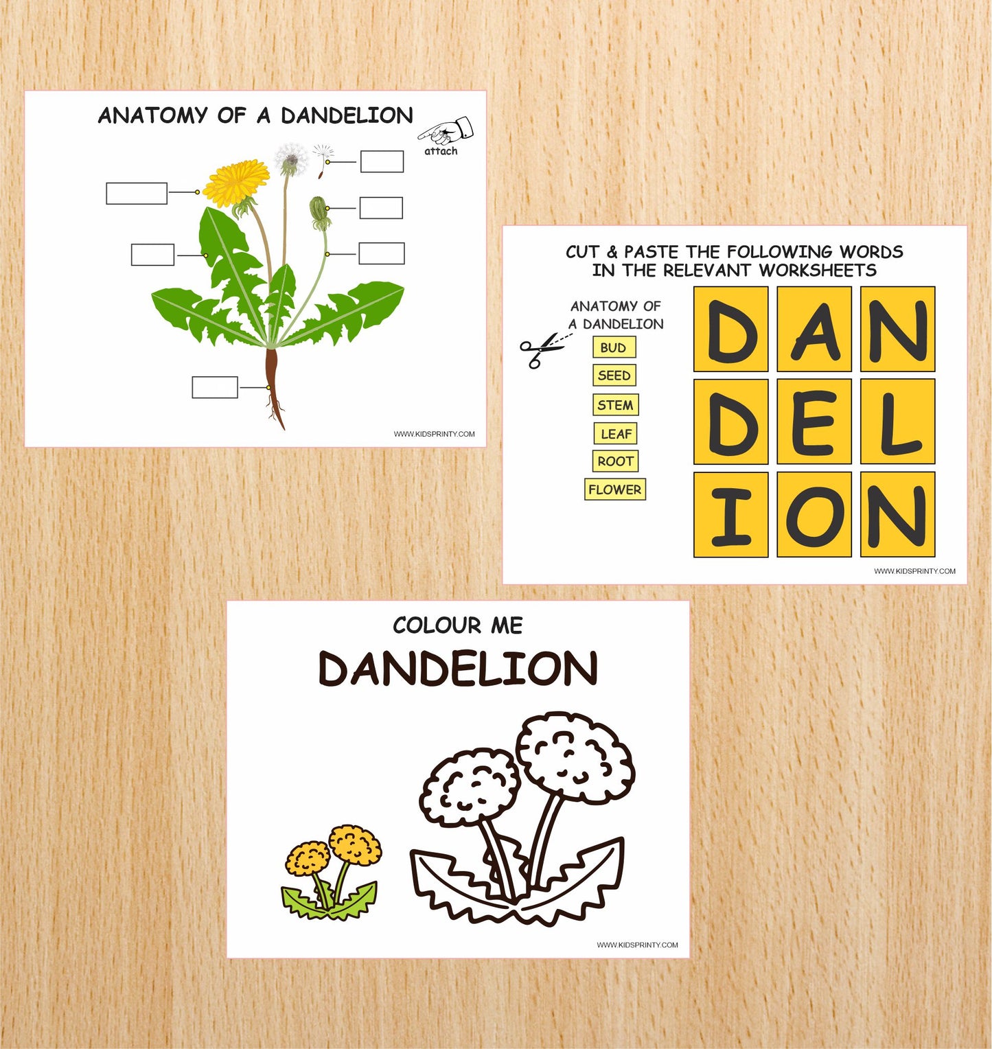 Dandelion Unit Study Pack (8 Pages)