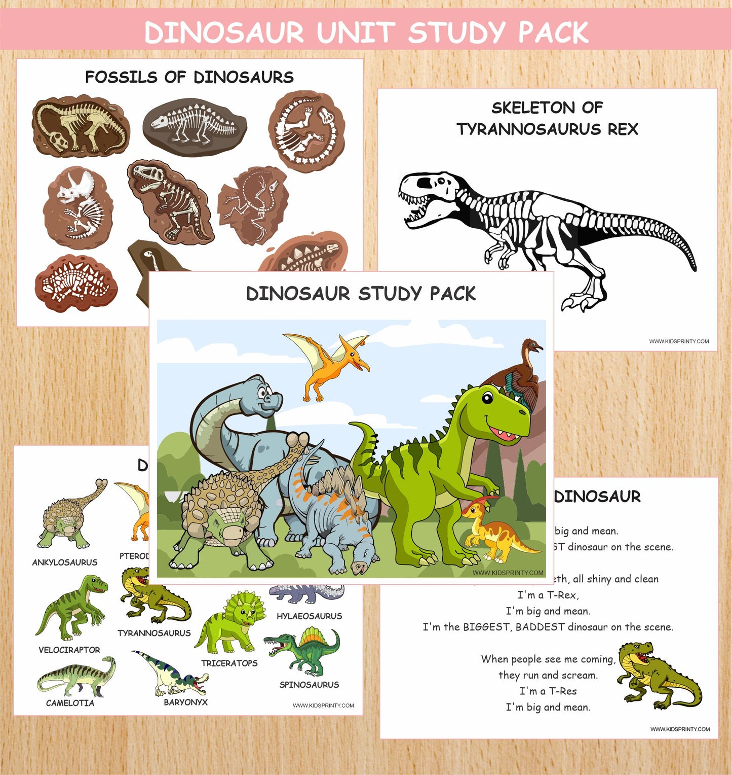 Dinosaur Unit Study Pack (10 Pages)