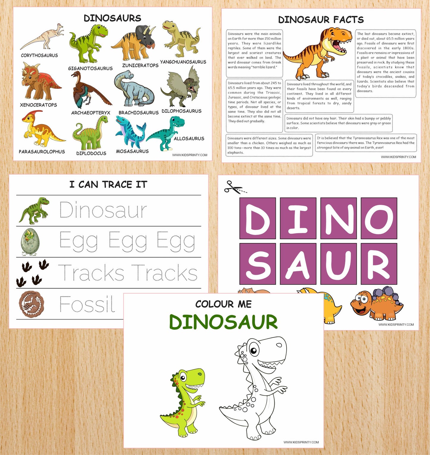 Dinosaur Unit Study Pack (10 Pages)