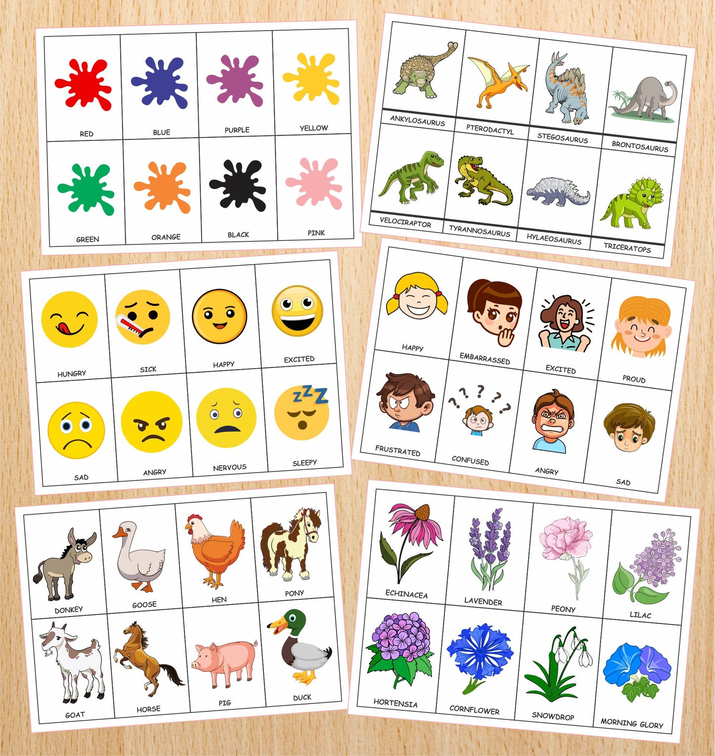 Flashcards bundle (700+ Cards)