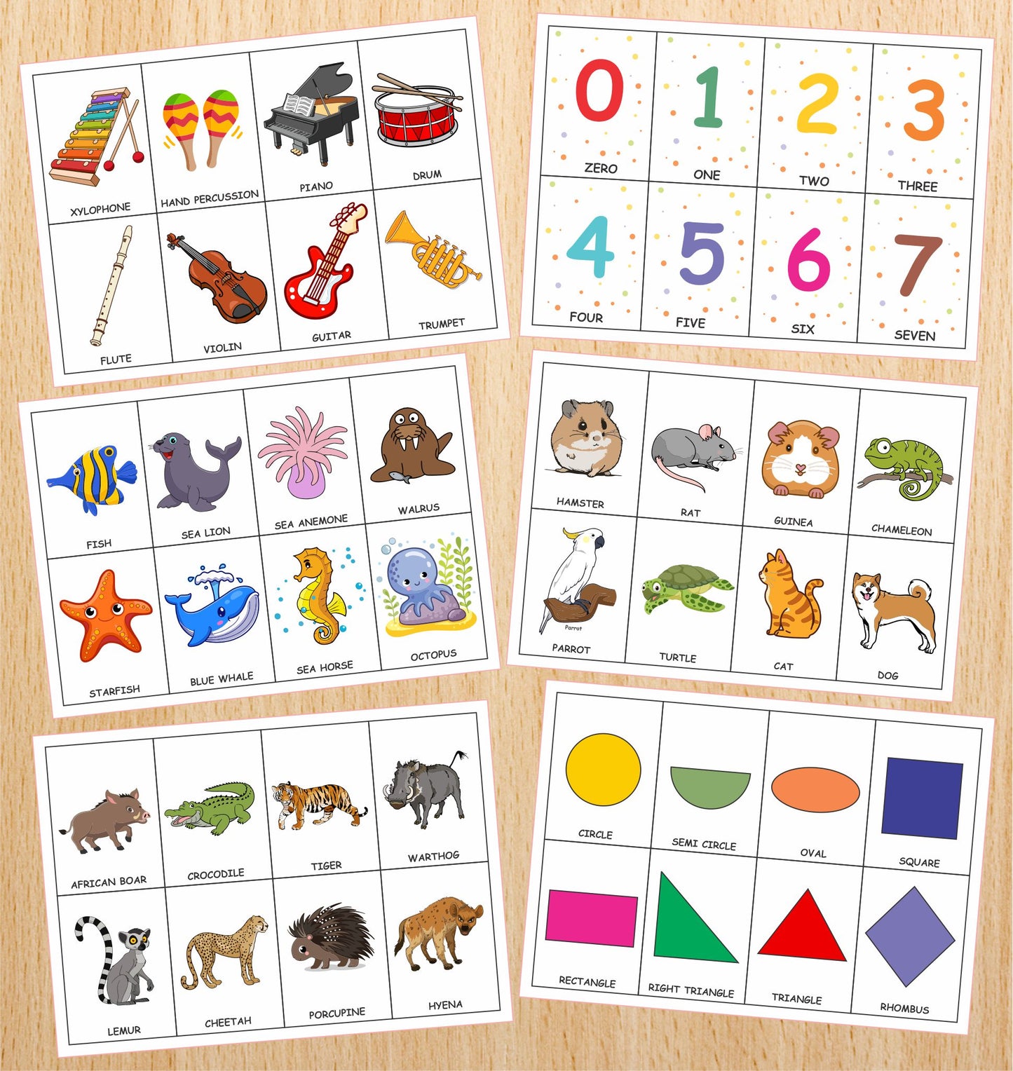 Flashcards bundle (700+ Cards)