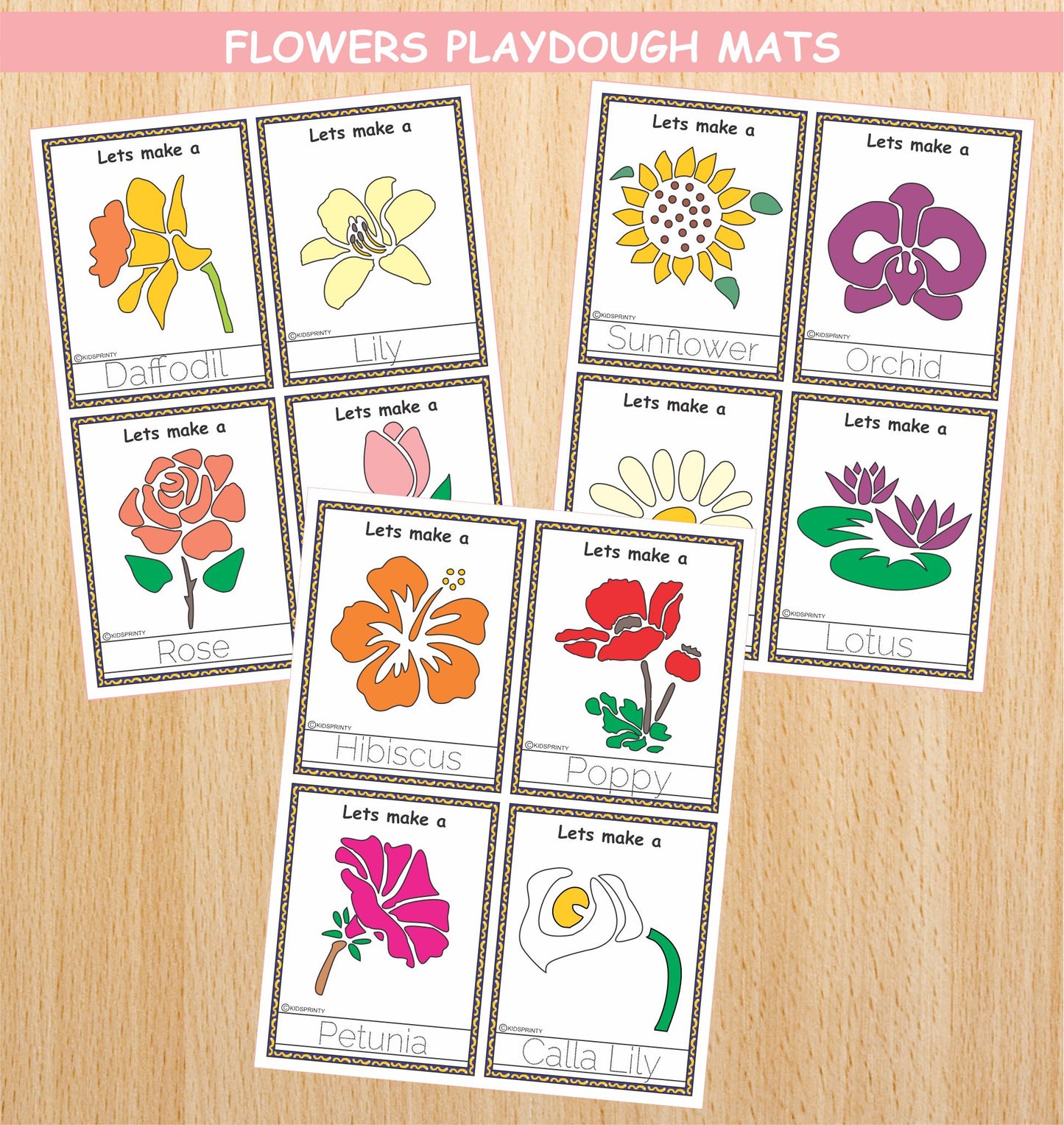 Flowers play Dough Mats (12 Visual Cards)