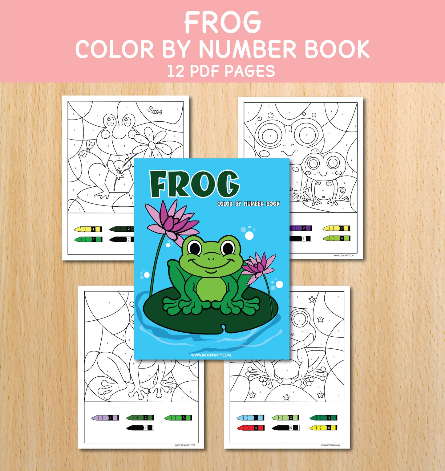 Frog Color By Number Book (10 Pages)