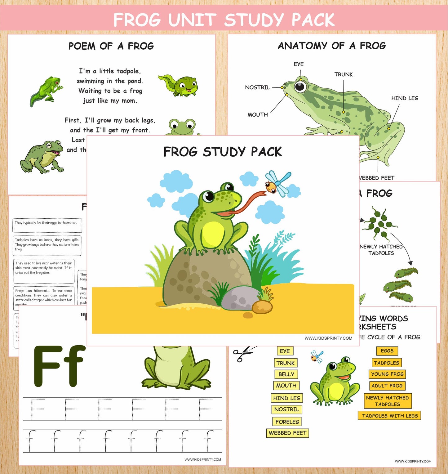 Frog Unit Study Pack (13 Pages)