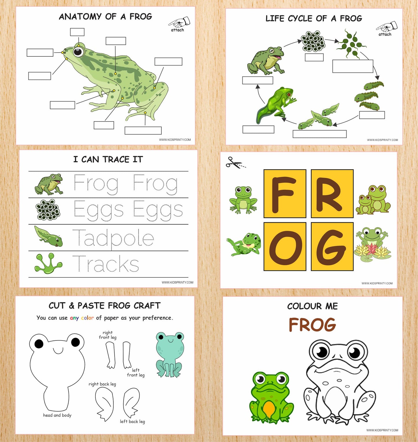 Frog Unit Study Pack (13 Pages)