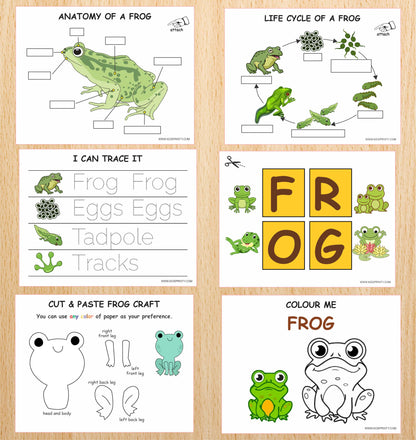 Frog Unit Study Pack (13 Pages)
