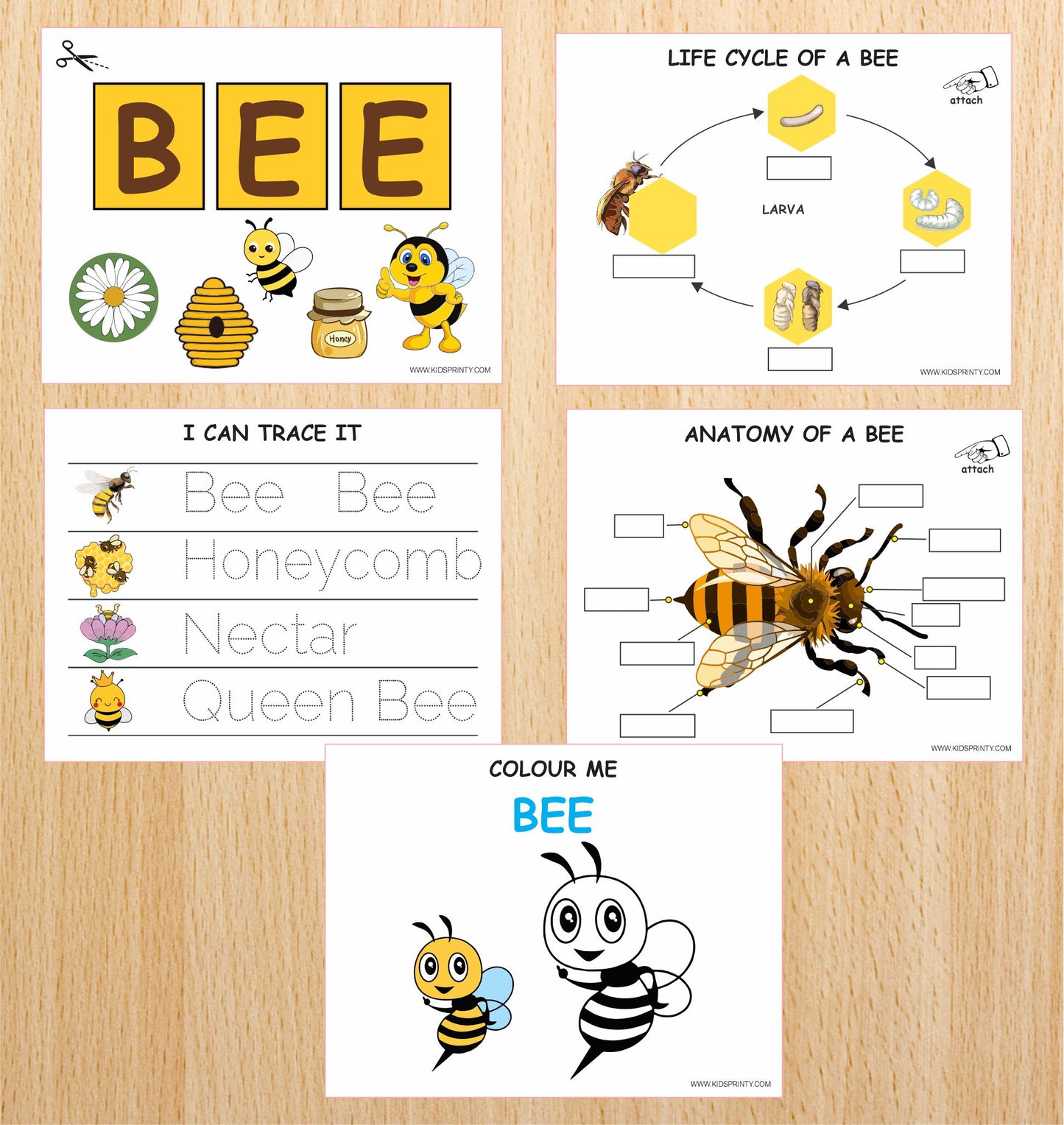 Honey Bee Unit Study Pack (12 Pages)