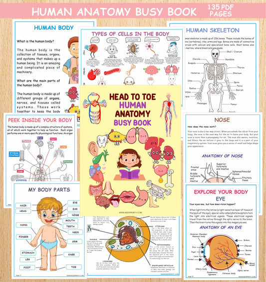 Human Anatomy Busy Book (135 Pages)