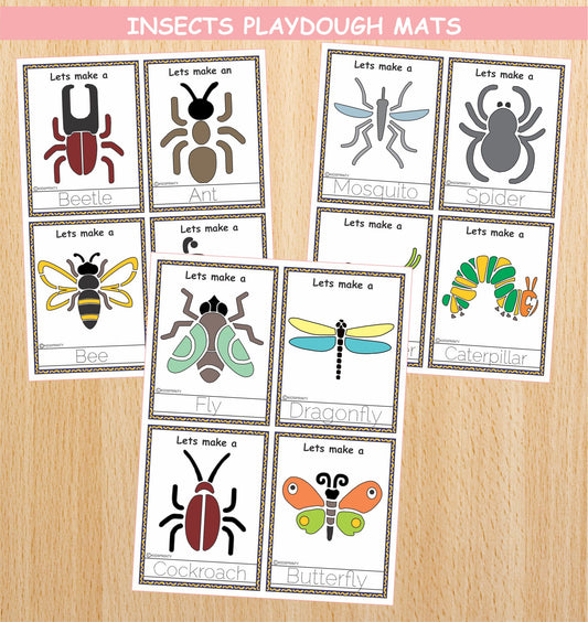 Insects Play Dough Mats (12 Visual Cards)