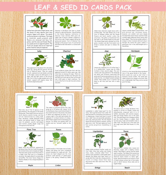 Leaf & Seed Id Unit study pack (4 Pages)