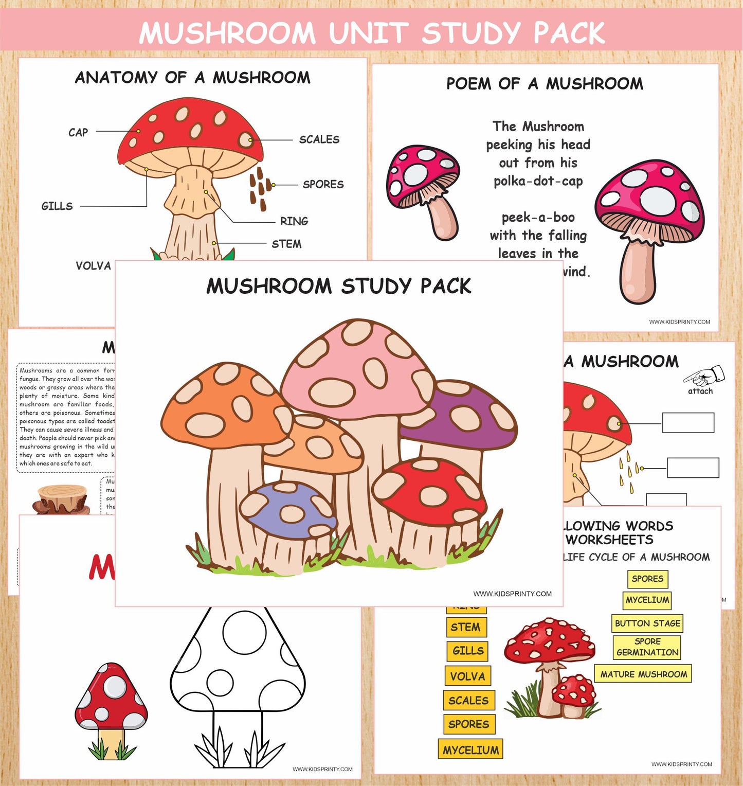 Mushrooms Unit Study pack (11 Pages)