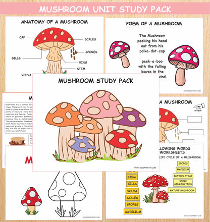 Mushrooms Unit Study pack (11 Pages)