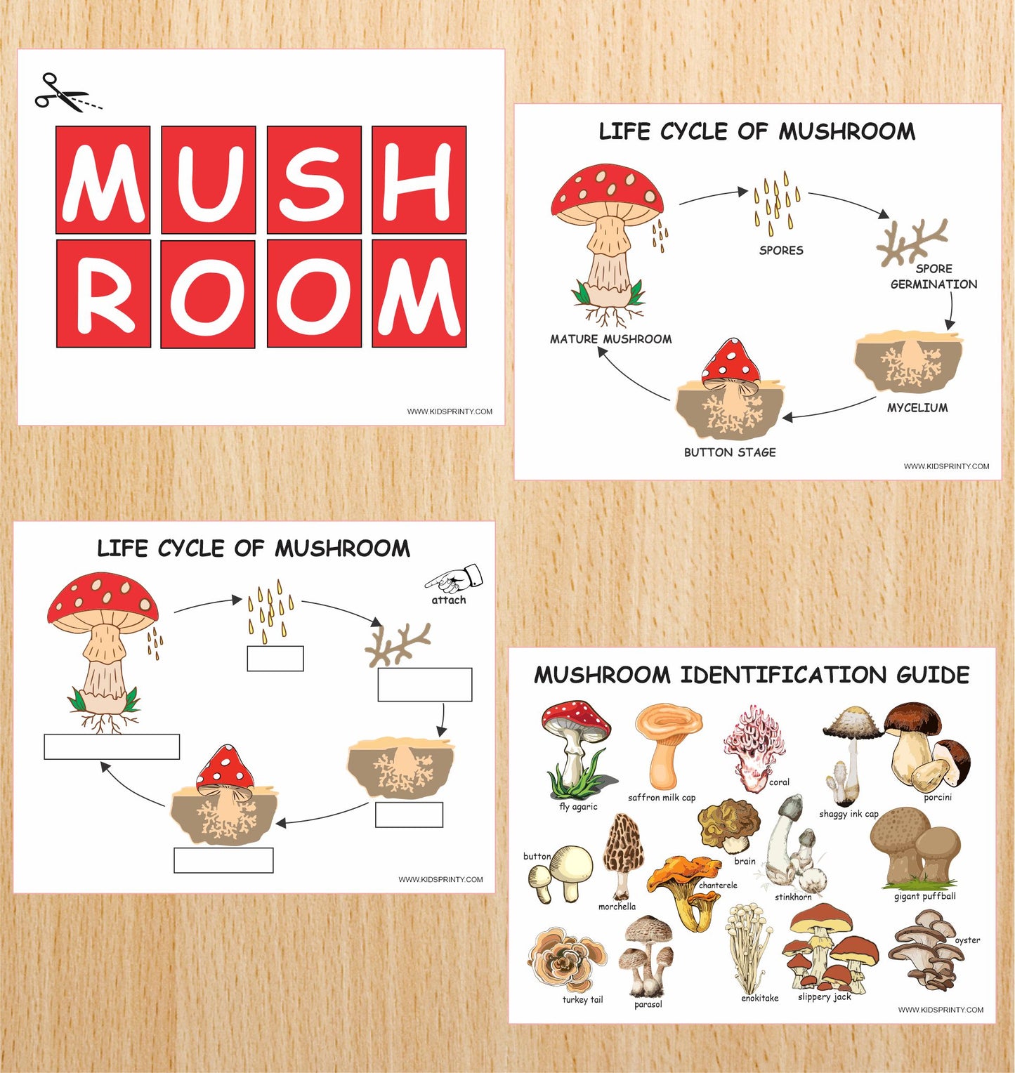 Mushrooms Unit Study pack (11 Pages)