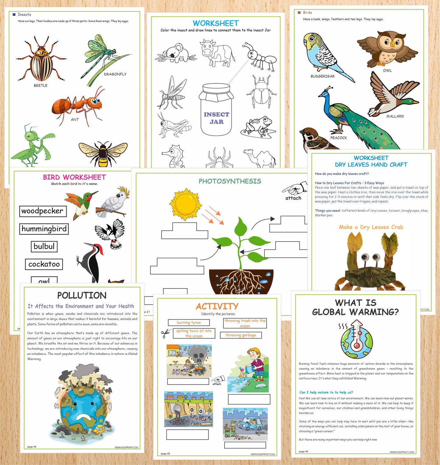 Nature Journal Busy Book (88 Pages)