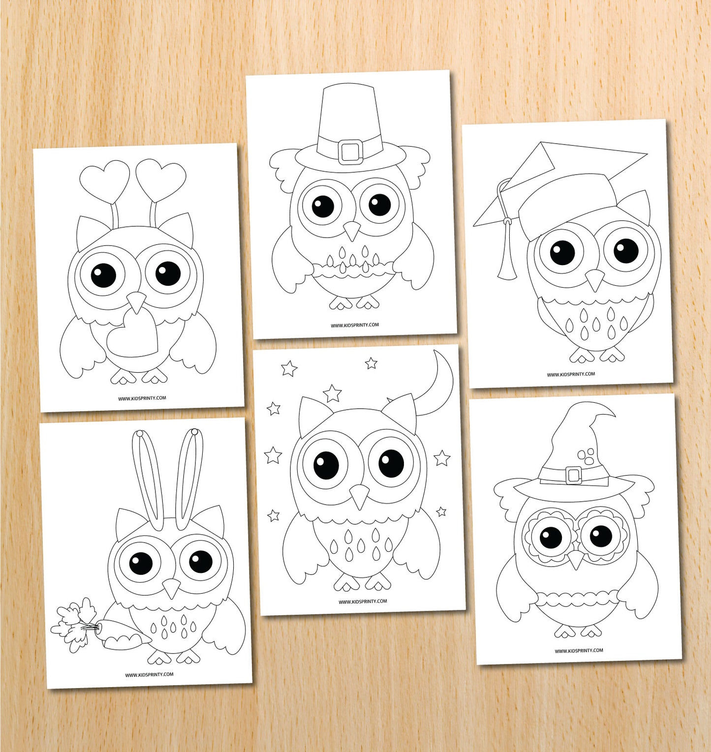 Owl Coloring Book (17 Pages)