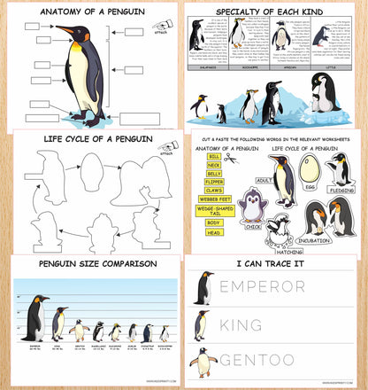 Penguins Unit Study Pack (19 Pages)