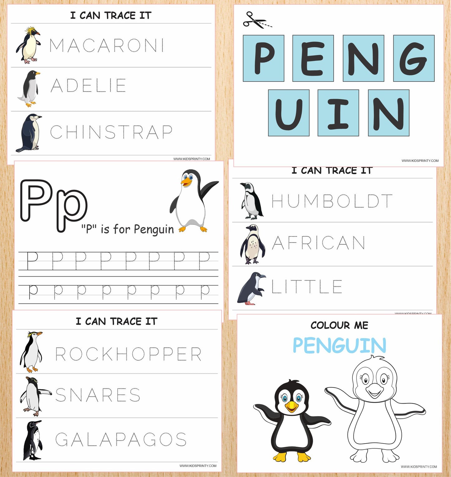 Penguins Unit Study Pack (19 Pages)