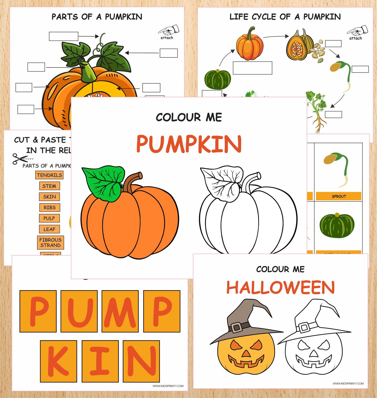 Pumpkin Unit Study Pack (14 pages)