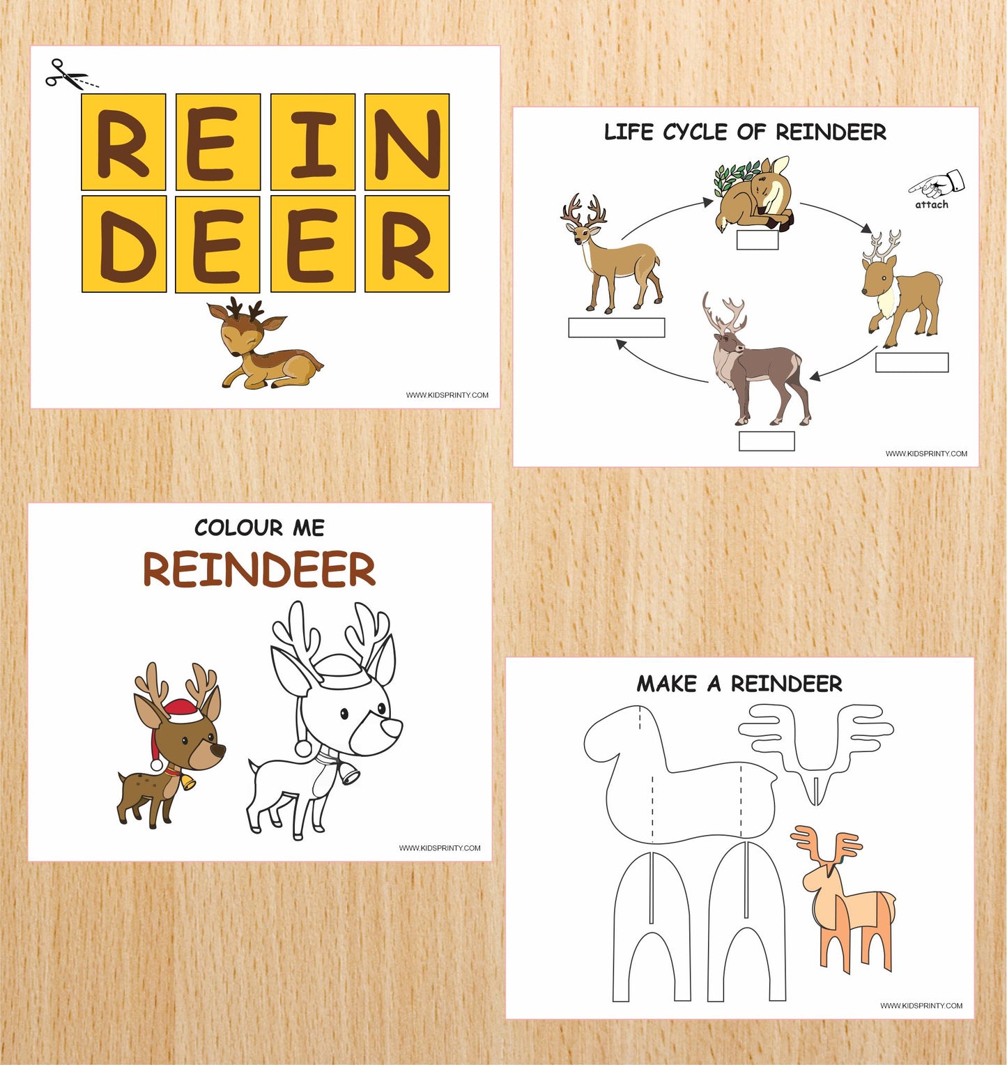 Reindeer Unit Study Pack ( 11 Pages)