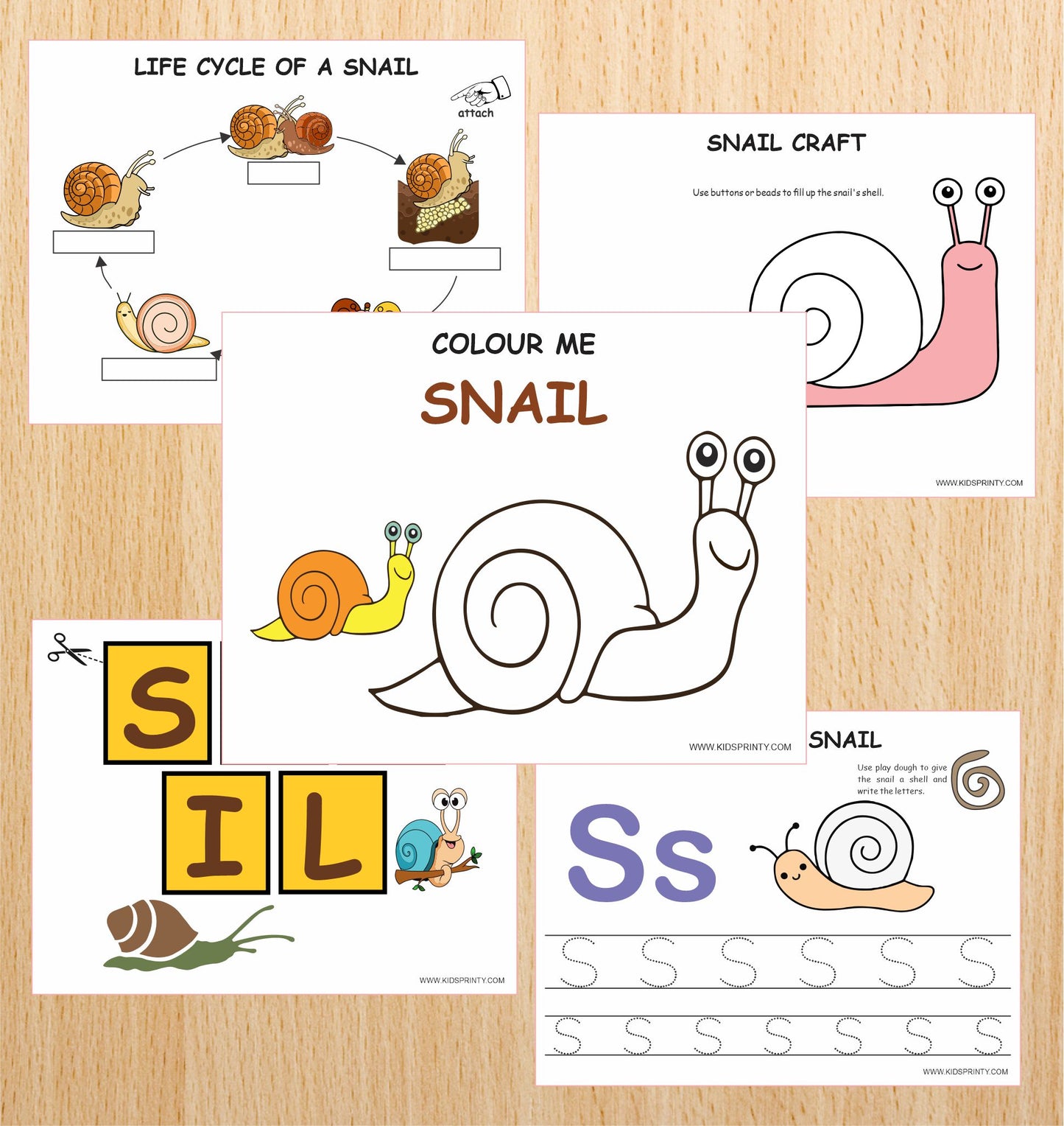 Snail Unit Study Pack (12 Pages)