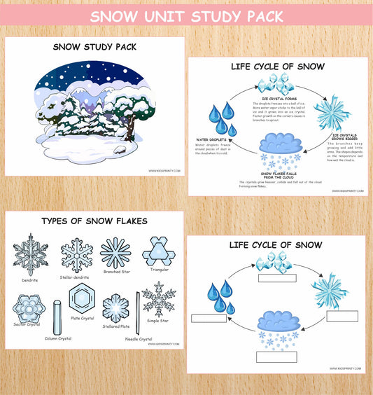 Snow Unit Study Pack (8 Pages)