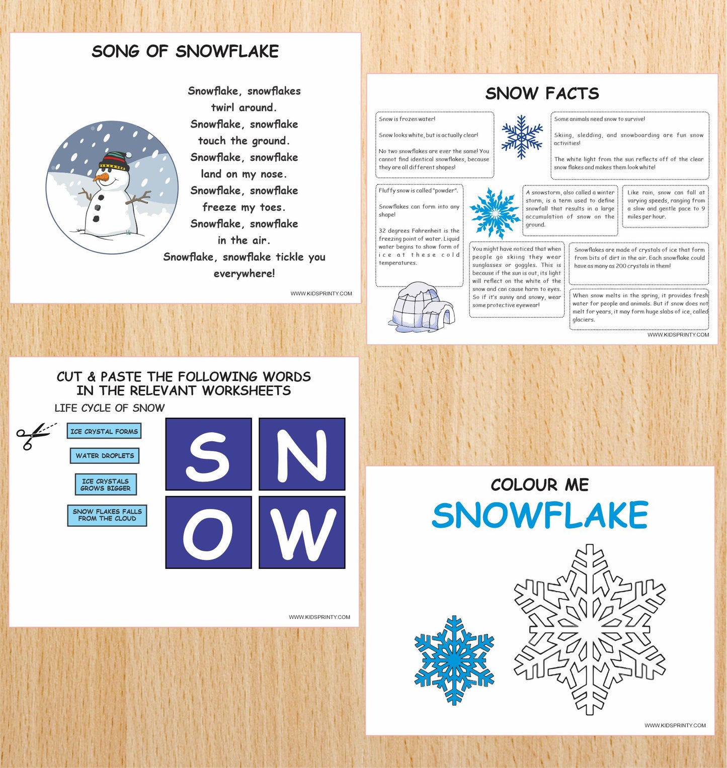 Snow Unit Study Pack (8 Pages)