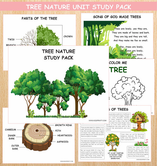 Tree Nature Unit Study Pack (11 Pages)