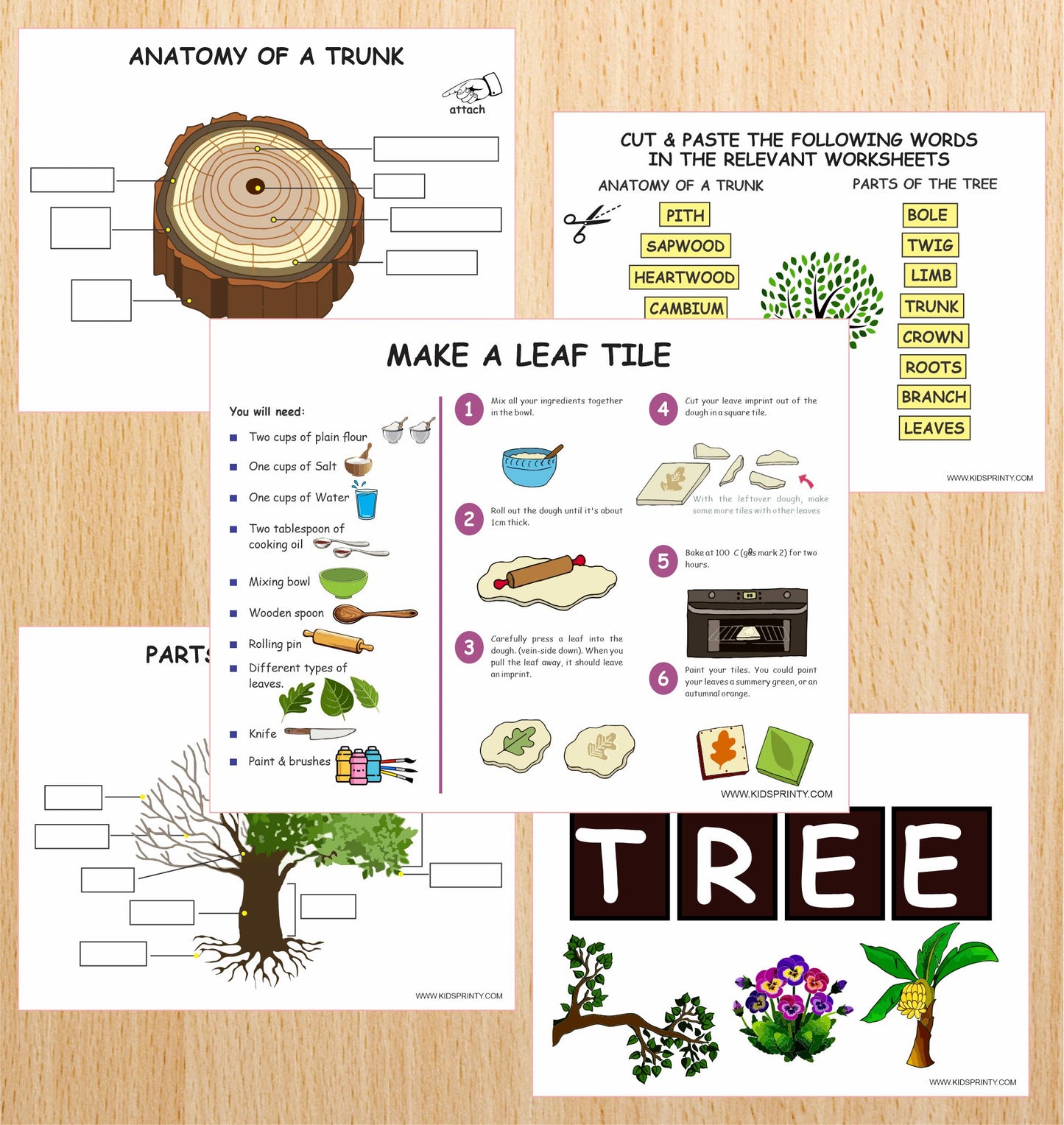 Tree Nature Unit Study Pack (11 Pages)