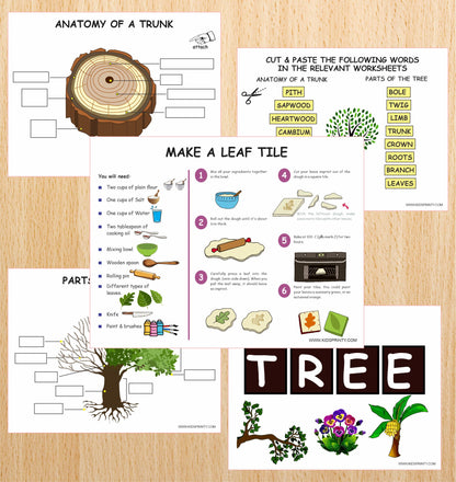 Tree Nature Unit Study Pack (11 Pages)