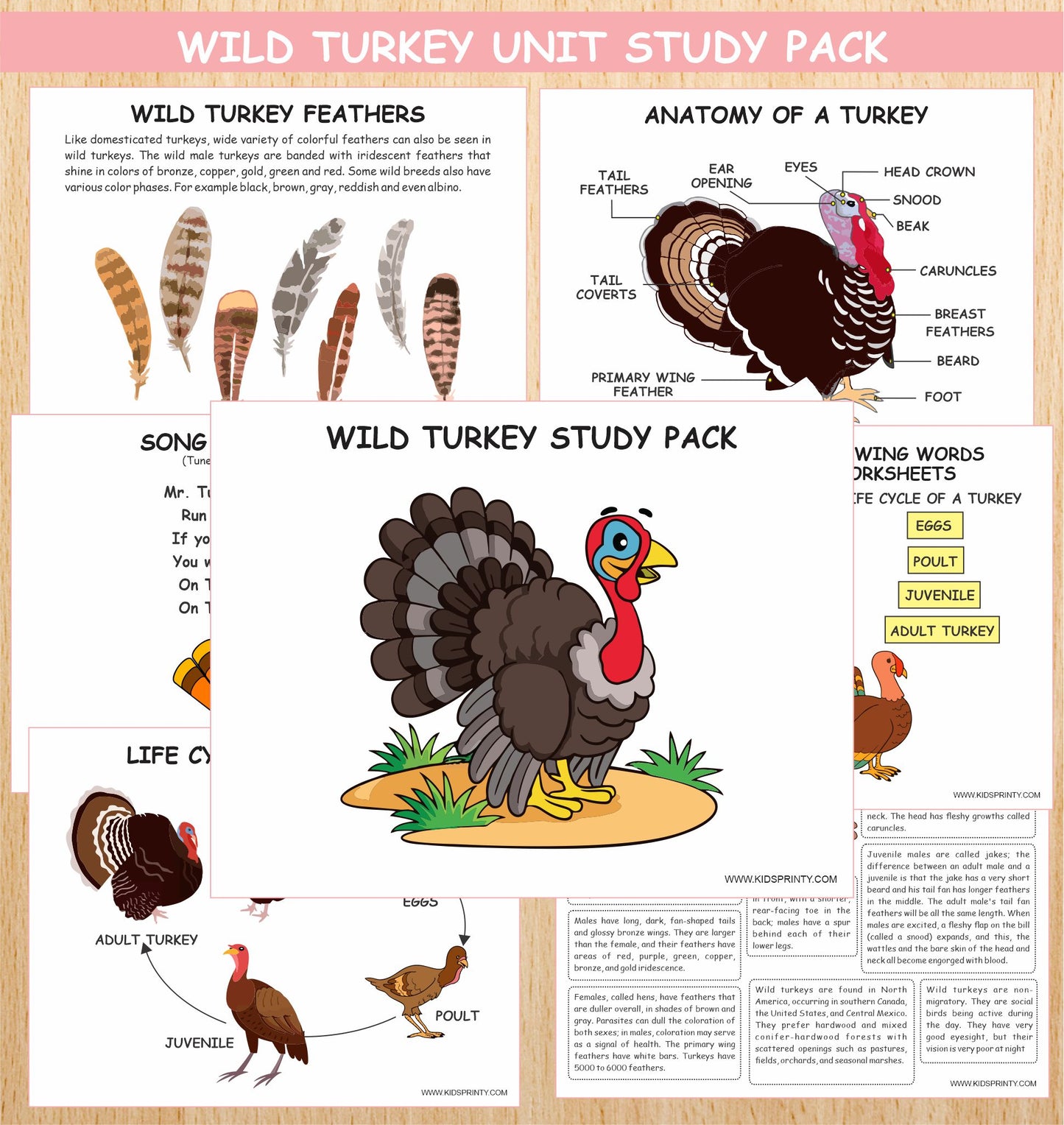 Wild Turkey Unit Study Pack (16 Pages)