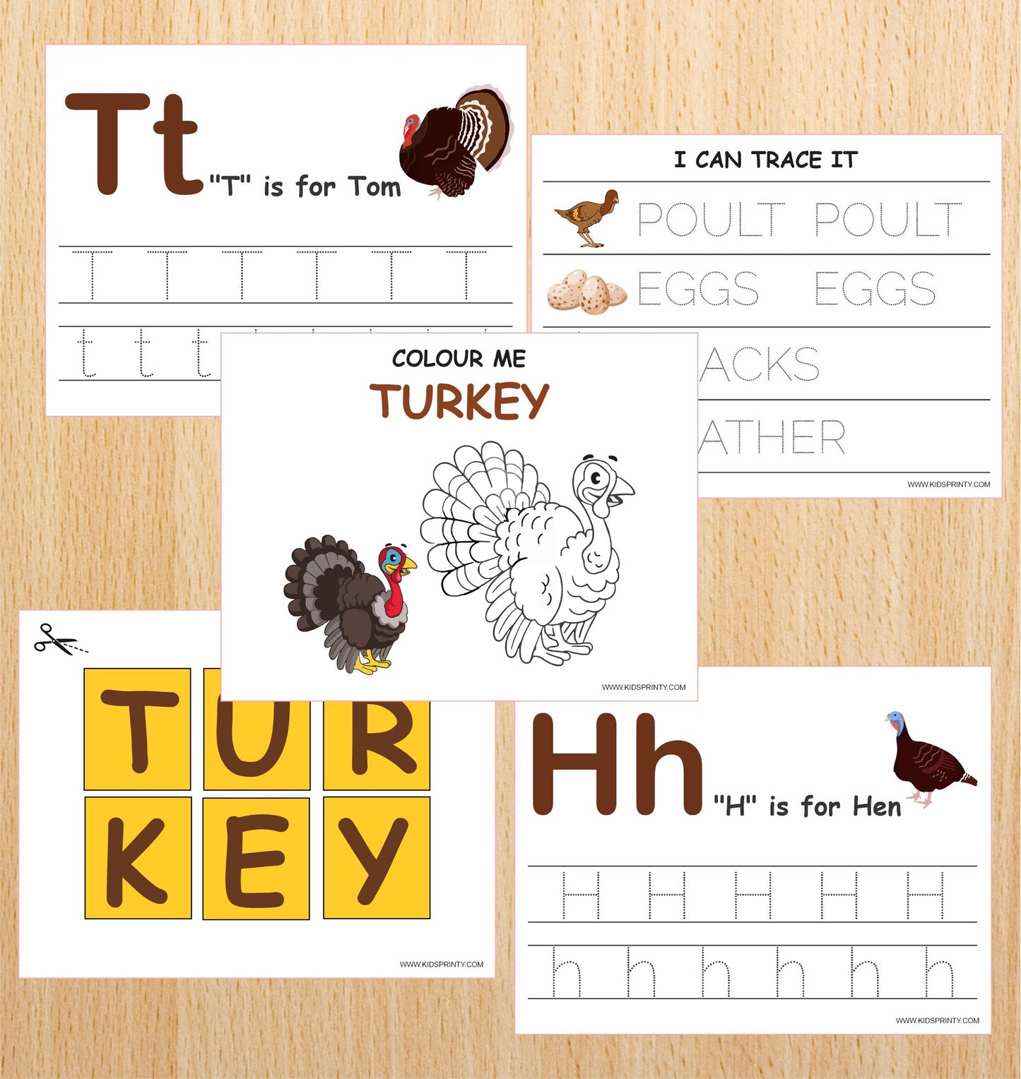 Wild Turkey Unit Study Pack (16 Pages)