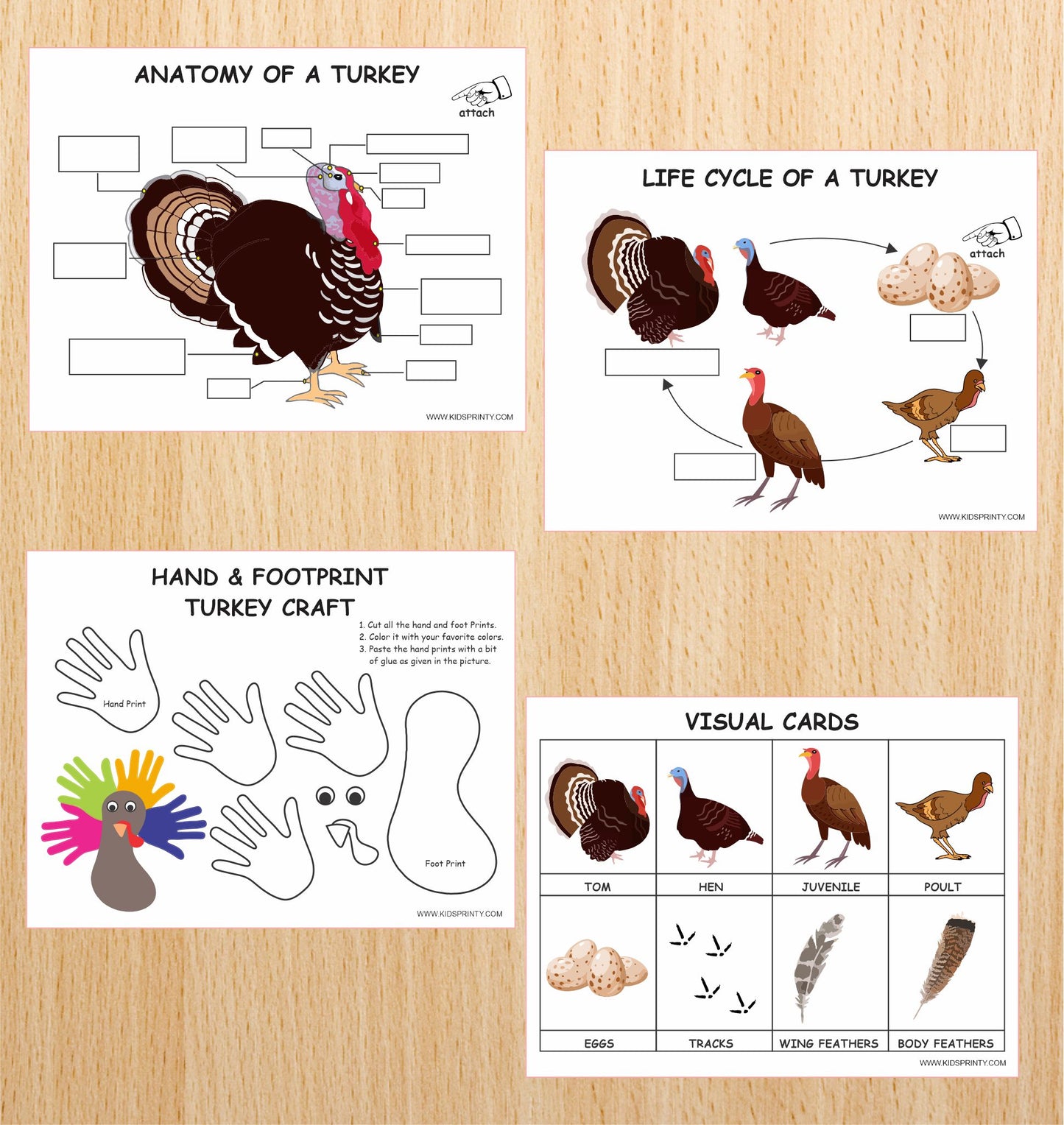 Wild Turkey Unit Study Pack (16 Pages)