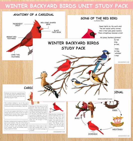 Winter Backyard Birds Unit Study Pack (13 Pages)