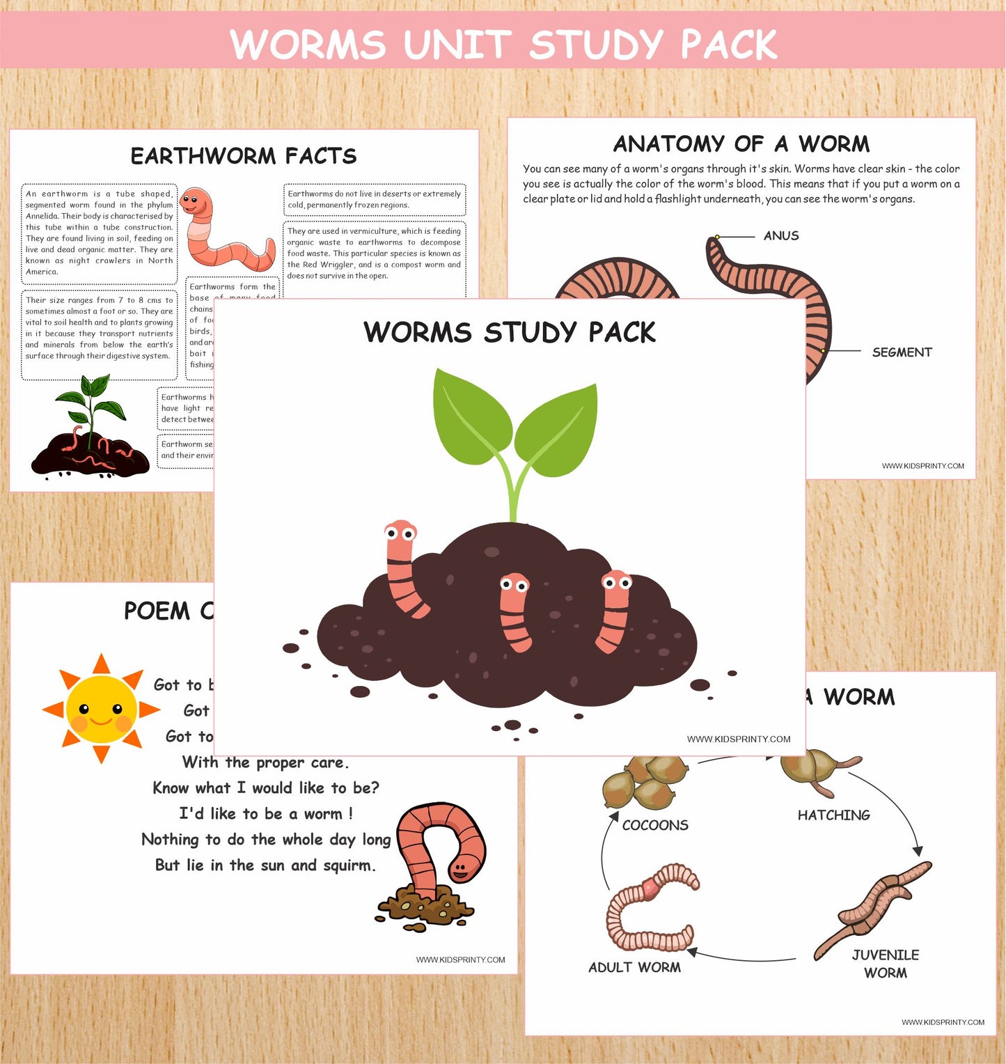 Worms Unit Study Pack (10 Pages)