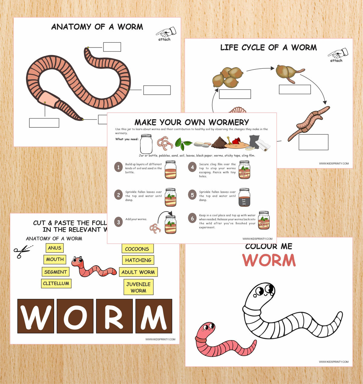 Worm Numbers For Grade R Worms Unit Study Pack (10 Pages) – Kids Printy