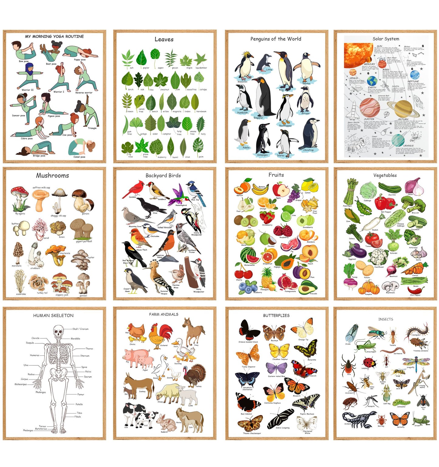 Kids Educational Wall Arts Bundle (75+ Pages)